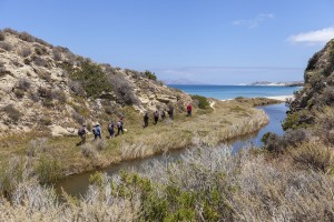 image of Santa Rosa Island